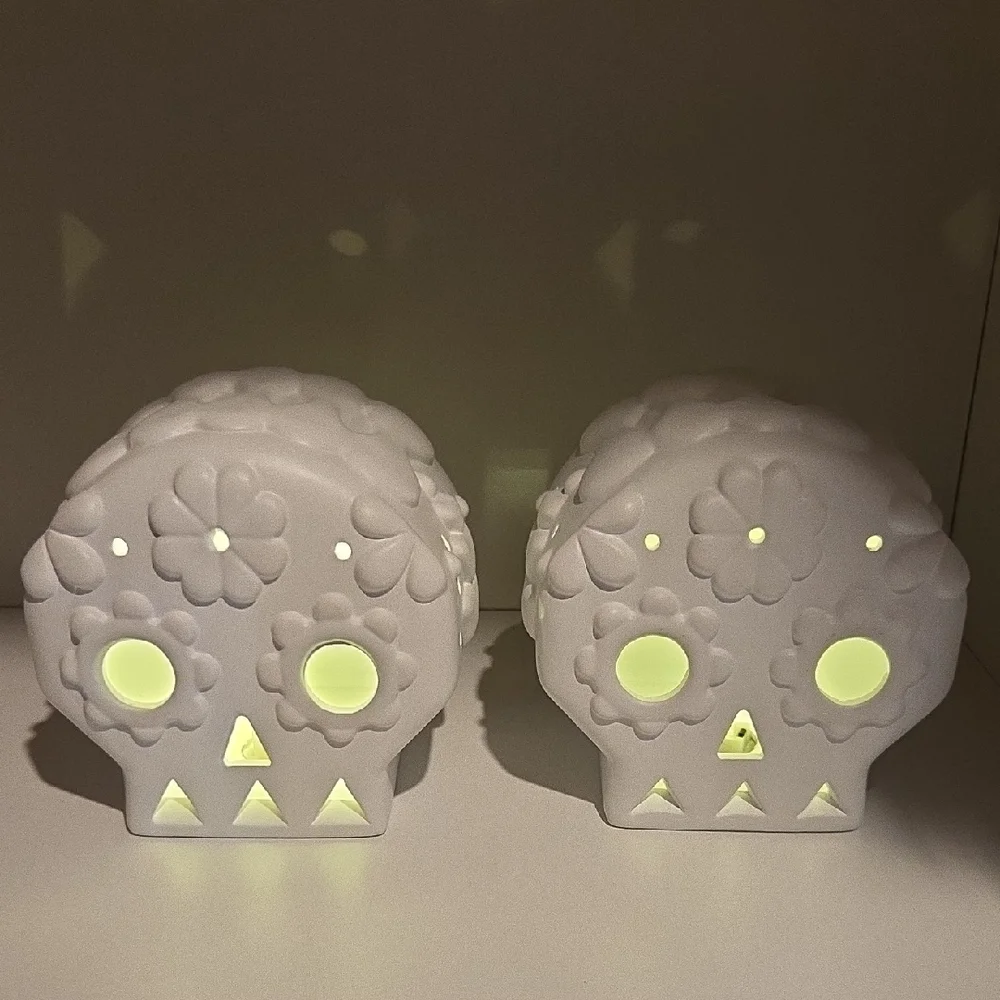 Paint your own lighted day of the dead